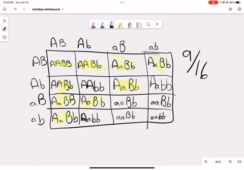 26-two-gene-loci-a-and-b-assort-independently-and-alleles-a-and-b-are-dominant-over-alleles-and-b-what-is-the-probability-of-producing-an-ab-phenotype-from-cross-aabb-aabb-14-12-116-916-100-54426