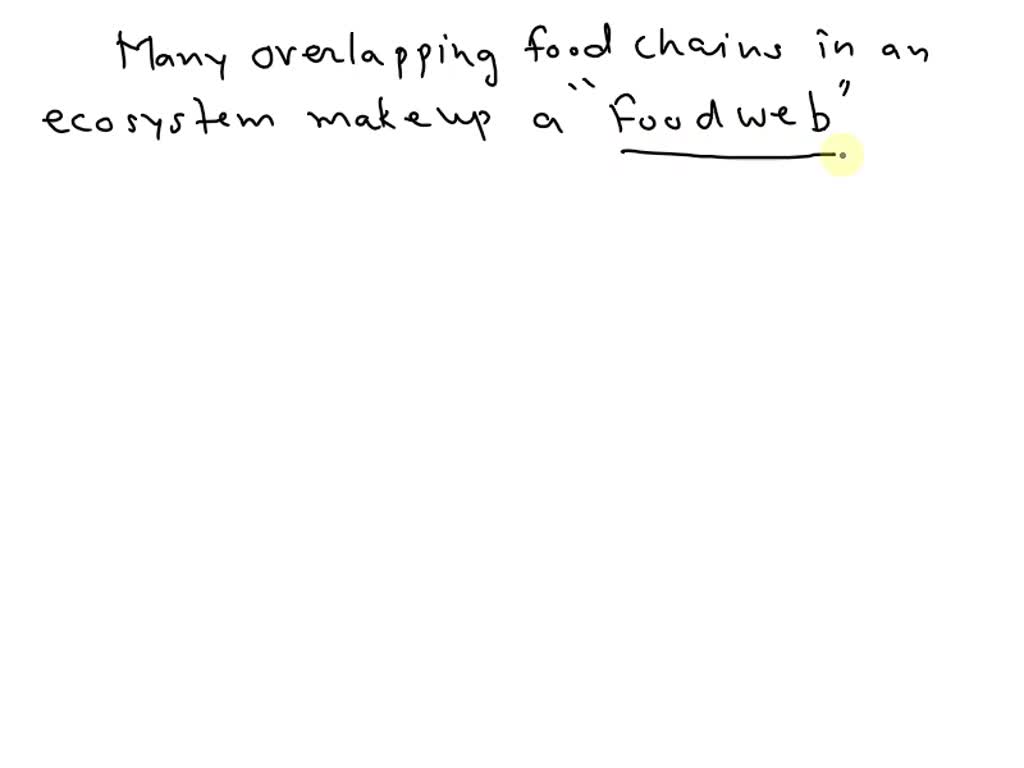 The Many Overlapping Food Chains In An Ecosystem