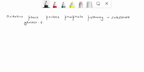 describe-the-oxidative-phase-of-pentose-phosphate-pathway-based-on-the-initial-substrate-and-final-product-30587