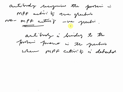b-in-figure-ic-the-antibody-recognizes-protein-in-the-mpf-activity-positive-fractions-but-not-mpf-activity-negative-fractions-does-this-support-or-contradict-the-idea-that-the-antibody-is-re-54275