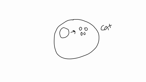 the-sum-of-all-the-chemical-reactions-in-a-cell-is-called