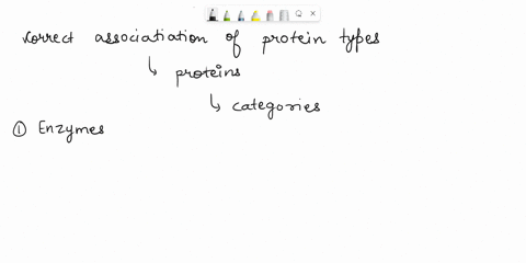 which-is-a-correct-association-of-protein-types-14835