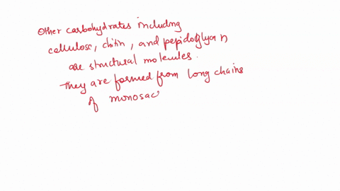 which-of-the-following-structural-features-is-common-to-cellulose-chitin-and-peptidoglycan-a-they-can-all-form-bonds-between-polymer-chains-that-stabilize-parallel-strands-b-they-are-all-com-16473