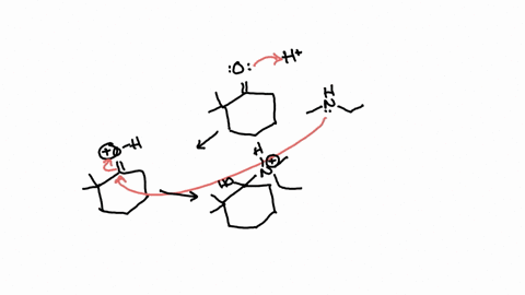 carbonyl-chemistry-predicting-the-reactants-or-products-of-an-imine-or-enamine-formation-predict-the-products-of-this-organic-reaction-xrightarrowtext-draw-all-the-reasonable-products-in-the-drawing-a