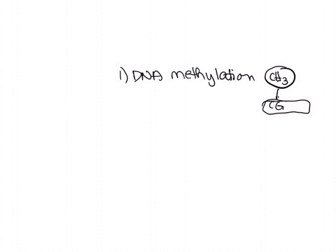 what-are-the-major-mechanisms-of-epigenetic-genome-modification-81207