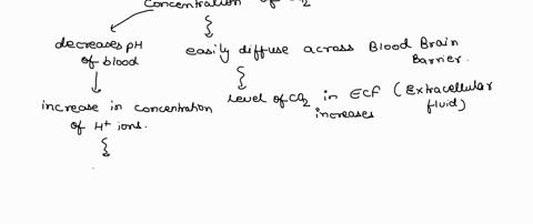33-in-certain-cases-carbon-dioxide-is-added-t0-the-air-patient-is-breathing-this-will-help-to-increase-the-rate-and-decrease-the-depth-of-breathing-decrease-the-rate-and-increase-the-depth-o-83464
