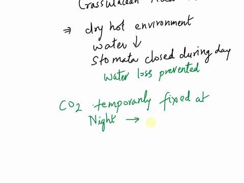 in-cam-plants-co2-is-temporarily-fixed-in-phloem-cells-and-later-permanently-fixed-in-the-bundle-sheath-cells-temporarily-fixed-at-night-and-later-permanently-fued-during-the-day-mainly-obta-35449