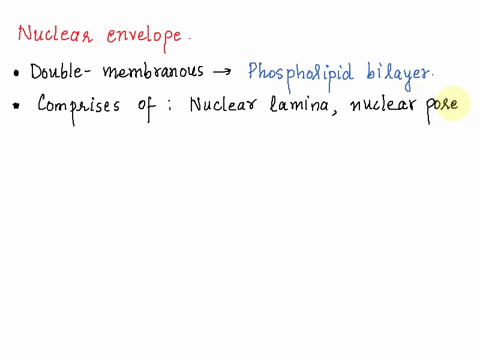 which-statement-correctly-describes-the-nuclear-envelope-of-a-eukaryotic-cell-the-nuclear-envelope-is-a-single-membrane-consisting-of-a-phospholipid-bilayer-plasmadesmosomes-in-the-nuclear-e-74542