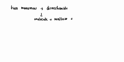 complete-the-following-paragraph-t0-describe-the-categories-of-carbohydrates-polysaccharides-carbohydrates-exist-as-either-monomers-or-polymers-long-chains-of-monomers-bonded-together-starch-41464