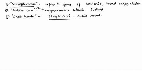 talna-the-word-staphylococcus-bunch-grapes-k-golden-color-cchain-hcads-chinese-letters-gnttk-unki-mycobacterium-tuberculosis-which-scientist-discorcrc-worked-with-sir-alexander-fleming-b-fre-89202