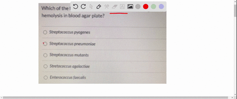 which-of-the-following-does-not-show-hemolysis-on-blood-agar-a-choose-this-answer-is-all-of-the-options-show-hemolysis-on-blood-agar-b-streptococcus-pneumoniae-c-staphylococcus-aureus-d-list-89163