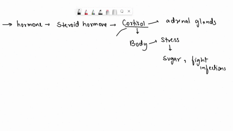 list-the-effects-of-increased-plasma-cortisol-concentration-on-organic-metabolism-42841