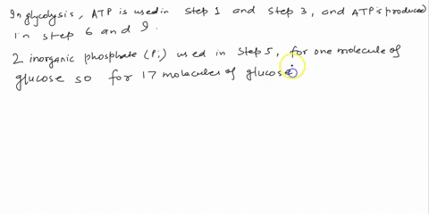 i-need-help-answering-the-2-questions-in-bold-they-go-together-select-the-steps-of-glycolysis-in-which-atp-is-produced-select-from-options-1-5-below-more-than-one-answer-can-be-correct-1-fru-09488