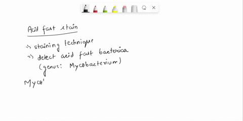 1-which-of-the-following-statements-explains-why-the-acid-fast-stain-does-not-confirm-patient-infection-by-mycobacterium-tuberculosis-a-the-acid-fast-stain-is-not-used-to-identify-members-of-98187