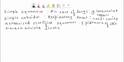 malch-each-iype-ol-epilhelium-wilh-ils-localion-wilhin-ilie-body-match-each-key-lerm-to-he-appropriate-descriplion-make-certain-each-sentence-is-complele-before-submitting-your-answer-simple-47288