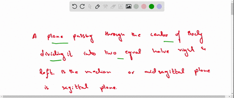 which-plane-divides-the-body-into-right-and-left-halves-which-plane-divides-the-body-into-an-anterior-and-posterior-35725