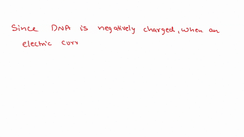 dna-will-move-through-the-gel-along-the-electric-current-its-direction-depending-in-part-on-the-molecules-charge-in-which-direction-positive-to-negative-or-vice-versa-will-dna-move-in-the-el-94998
