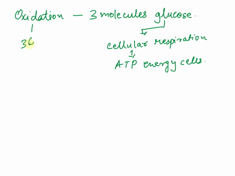 how-many-atp-molecules-are-produced-by-the-oxidation-of-3-molecules-of-glucose-50671