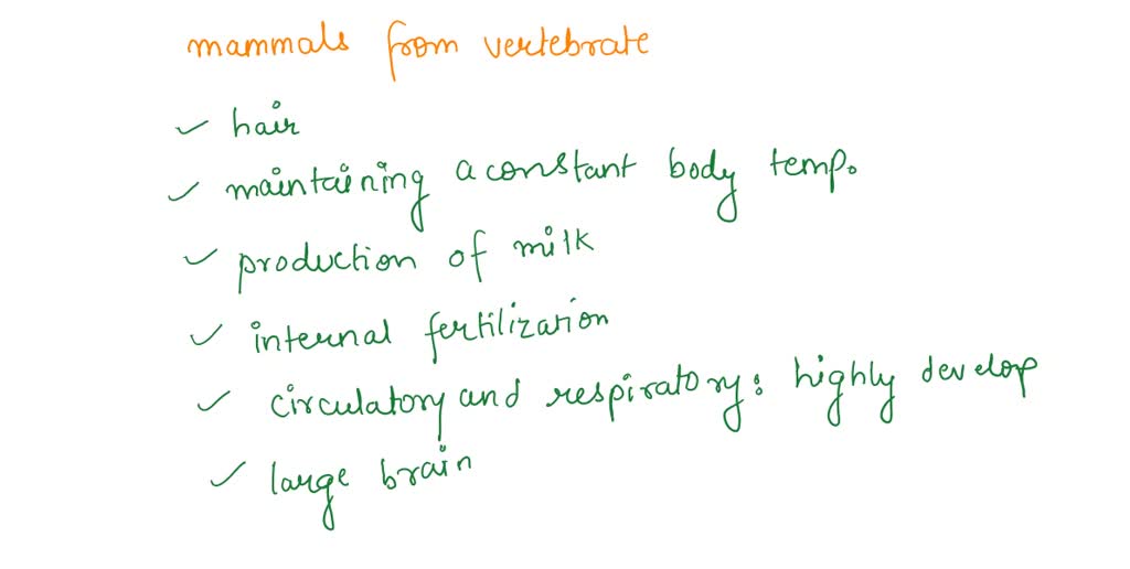 SOLVED: List five characteristics that distinguish mammals from other