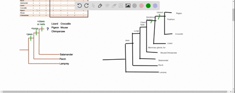 complete-the-phylogenetic-tree-using-the-remaining-data-label-each-trait-change-on-the-tree-eg-as-shown-for-jaws-and-lungs-submit-your-answer-by-uploading-a-jpg-or-pdf-file-to-the-worksheet-91712