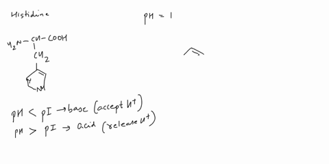 the-isoelectric-point-pl-or-isoelectric-ph-is-the-ph-where-the-between-the-two-forms-as-the-dipolar-amino-acid-is-evenly-balanced-zwillerion-with-histidine-is-ph-76-give-the-a-net-charge-of-24205