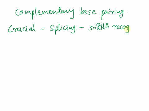 complementary-base-pairing-is-important-in-splicing-because-select-one-snrnas-the-rna-component-of-snrnps-base-pair-with-specific-intron-sequences-in-the-mrna-b-introns-base-pair-with-exons-51308