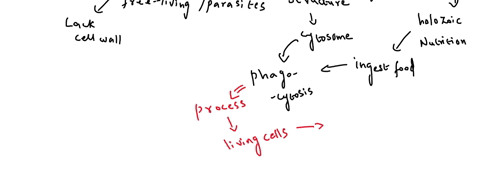 why-all-protozoans-not-performing-phagocytosis-while-all-of-them-have-cell-membrane-22974