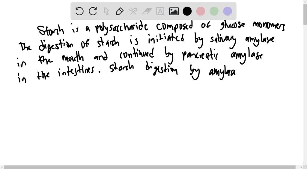 solved-1-list-the-enzymes-involved-in-starch-digestion-where-they-work-and-what-they-do-2