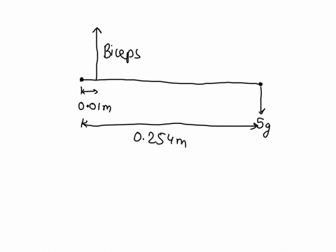 consider-the-participant-is-holding-5-kg-weight-in-their-hand-at-90-degrees-of-elbow-flexion-calculate-elbow-joint-torque-sum-of-torques-use-the-average-resistive-force-at-90-degrees-2142-n-84184