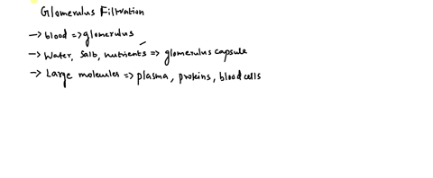 glomerular-filtration-tubular-reabsorption-and-tubular-secretion-complete-tne-following-paragraph-to-describe-the-role-of-glomerular-filtration-tubular-reabsorption-and-tubular-secretion-in-81788