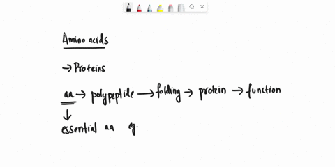 if-an-animal-lacked-certain-essential-amino-acids-from-its-diet-what-would-happen-it-could-not-synthesize-phospholipids-it-could-not-make-many-necessary-proteins-it-would-make-these-missing-75876