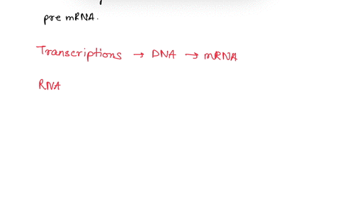 the-________-catalyzes-the-excision-of-introns-from-pre-mrna-a-ribosome-b-spliceosome-c-rna-polymera-81619