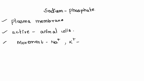 the-sodiumpotassium-pumpa-helps-establish-an-electrochemical-gradient-across-the-membraneb-concentrates-sodium-on-the-outside-of-the-membranec-uses-a-carrier-protein-and-chemical-energyd-is-19357