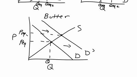 q24-section-b-question-4-30-points-assume-that-bread-and-butter-are-complementary-goodsthe-government-begins-to-subsidize-the-production-of-wheatwhich-is-an-input-in-the-production-of-bread-29241