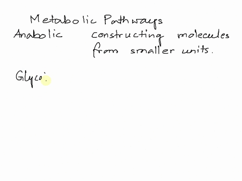 which-metabolic-pathway-is-strictly-anabolic-answers-a-e-a-glycolysis-b-pentose-phosphate-cycle-gluconeogenesis-d-citric-acid-cycle-e-b-oxidation-of-fatty-acids-09744