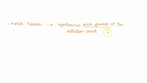 match-the-enzymes-to-their-role-in-the-dna-replication-process-rna-primase-1-ligase-2-helicase-3-polymerase-4-topoisomerase-5-rna-primase-1-unwinds-the-dna-molecule-2-synthesizes-the-complem-88228