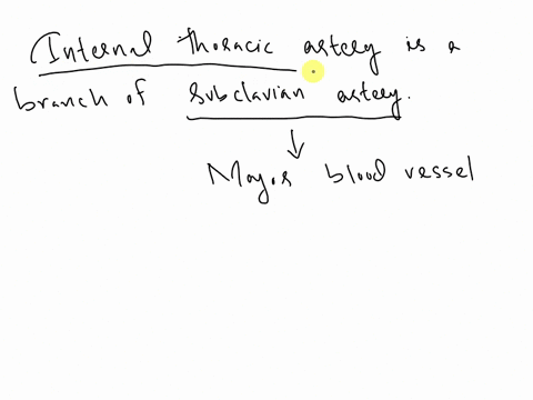 the-internal-thoracic-artery-is-a-branch-of-subclavian-artery-31567