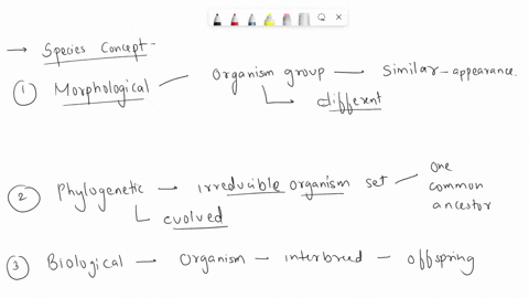 distinguish-between-morphological-phylogenetic-and-biological-species-concepts-what-are-the-advantages-and-disadvantages-of-each-what-notion-is-common-to-each-of-the-species-definitions-that-58184