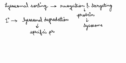 how-are-cargos-chosen-for-lysosomal-sorting-eg-signals-what-route-do-they-take-to-get-there-49976