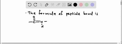 which-bonds-in-the-backbone-of-a-peptide-can-rotate-freely-4-77296