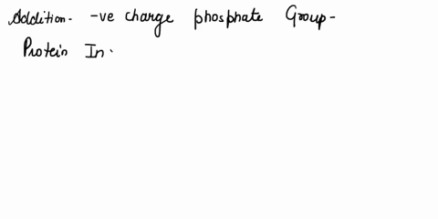 howdoes-phosphorylation-control-protein-activity-choose-one-the-phosphate-group-alters-the-primary-structure-of-the-protein-b-the-phosphate-group-with-its-positive-charges-temporarily-reliev-63066