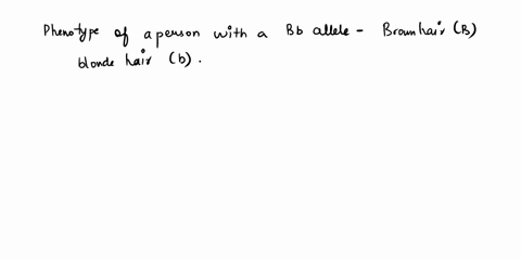 brown-hair-b-is-dominant-to-blonde-hair-what-would-the-phenotype-of-a-person-with-a-bb-allele-combination-have-69346