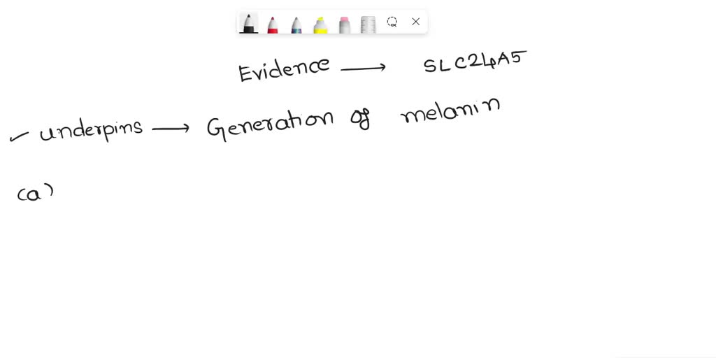 SOLVED: What evidence supports the conclusion that the SLC24A5 gene