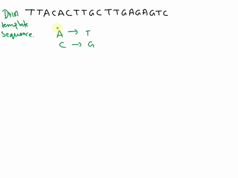 does-anyone-know-how-to-list-the-rna-sequence-transcribed-from-the-dna-template-sequence-ttacacttgcttgagagtc-85108