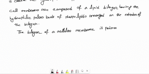 select-the-three-true-statements-the-tendency-of-hydrophobic-molecules-t0-aggregate-in-water-called-the-hydrophobic-eflect-forming-ordered-network-of-water-around-hydrophobic-molecules-incre-65289