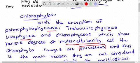 why-do-you-suppose-chlorophytes-are-not-considered-plants-55342