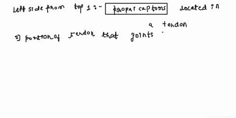 correctly-identify-the-function-of-each-structure-that-comprises-a-tendon-reflex-by-dragging-the-appropriate-label-into-place-carries-impulses-to-the-spinal-cord-when-a-muscle-contraction-pu-59481