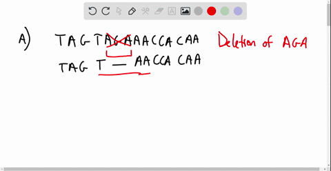 describe-the-change-in-the-dna-sequence-the-effect-on-the-mrna-and-the-effect-on-the-polypeptide-is-this-a-true-frameshift-mutation-why-or-why-not-would-a-single-base-insertion-at-the-beginning-of-the