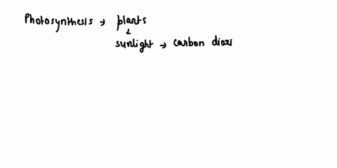 what-molecule-does-the-oxygen-gas-0z-that-plants-release-during-photosynthesis-come-from-oxygen-carbon-dioxide-water-glucose-sunlight-91506