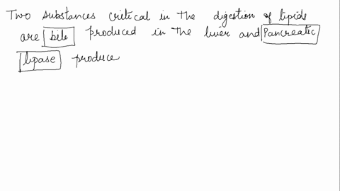 two-substances-critical-in-the-digestion-of-lipids-are-_______-produced-in-the-liver-and-________-produced-in-the-pancreas-43726